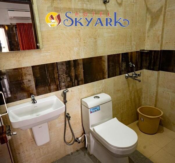 高级大房间, Skyark