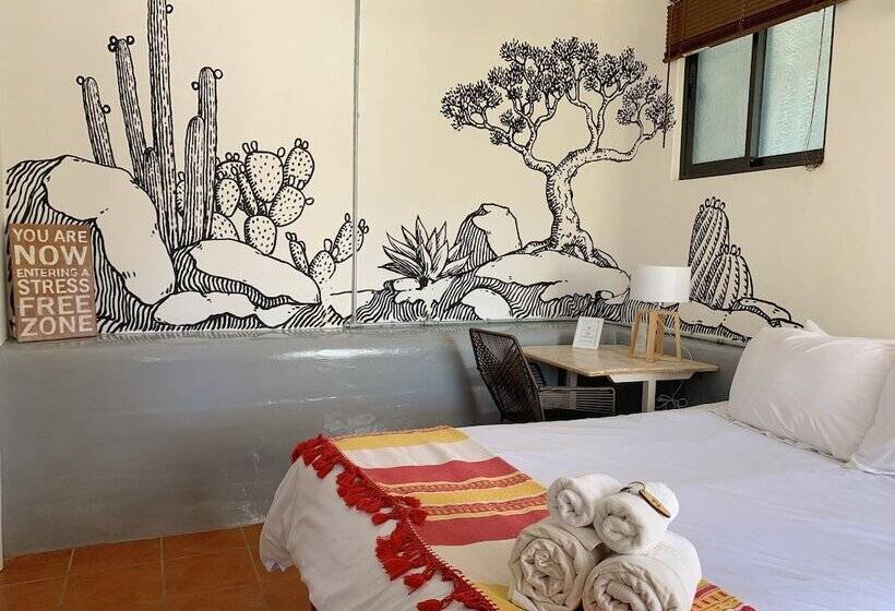 标准间, Perro Surfero Todos Santos