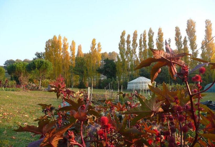 Номер Стандарт, La Source, Vegetarian Guest House