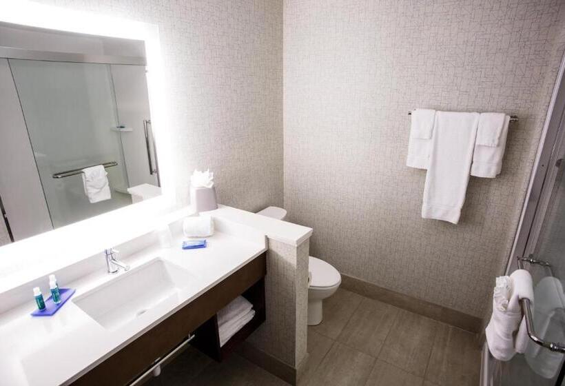 장애인을 위한 스위트, Holiday Inn Express & Suites   Gettysburg, An Ihg