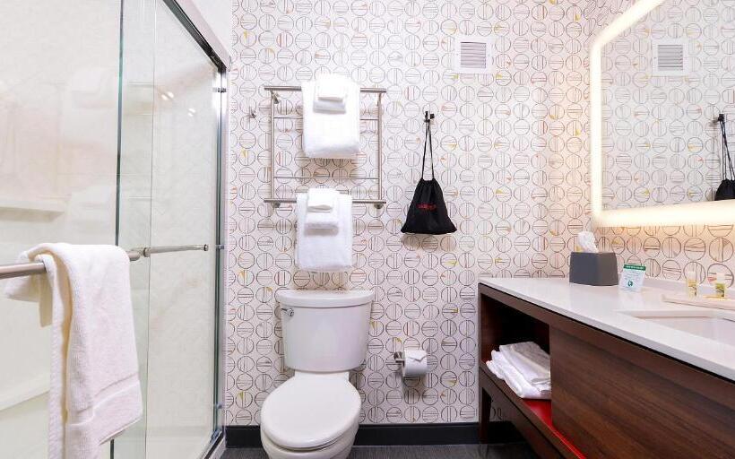 Номер Стандарт Адаптированный для Инвалидов, Holiday Inn & Suites   Farmington Hills   Detroit Nw, An Ihg