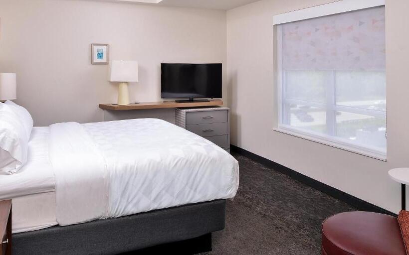 Люкс Адаптированный для Инвалидов, Holiday Inn & Suites   Farmington Hills   Detroit Nw, An Ihg