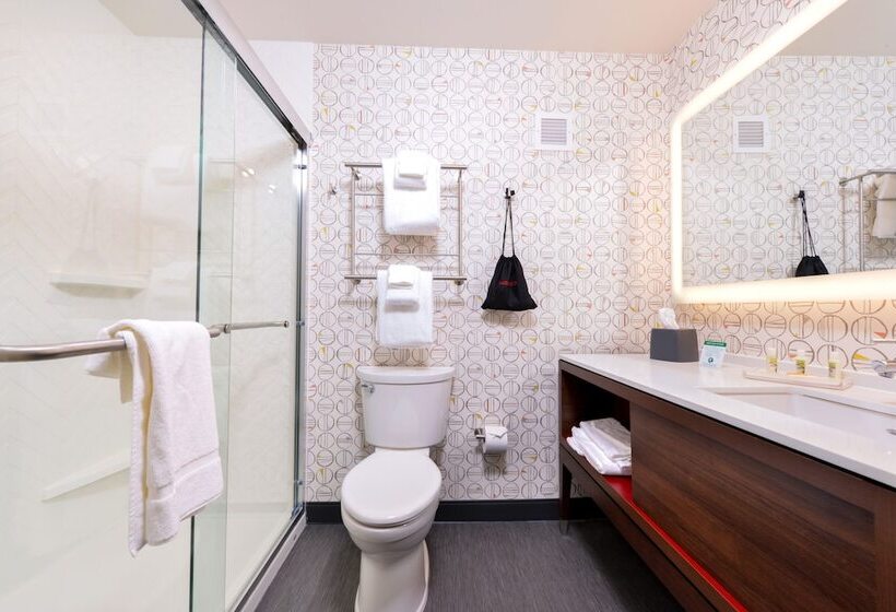 Люкс Адаптированный для Инвалидов, Holiday Inn & Suites   Farmington Hills   Detroit Nw, An Ihg