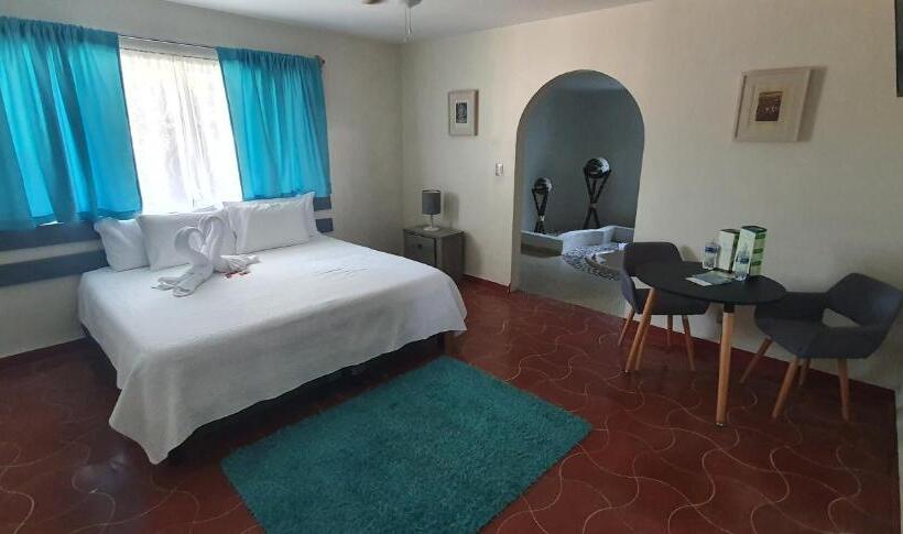 キングサイズベッドのスタンダードルーム, Victoria Hotel Y Spa