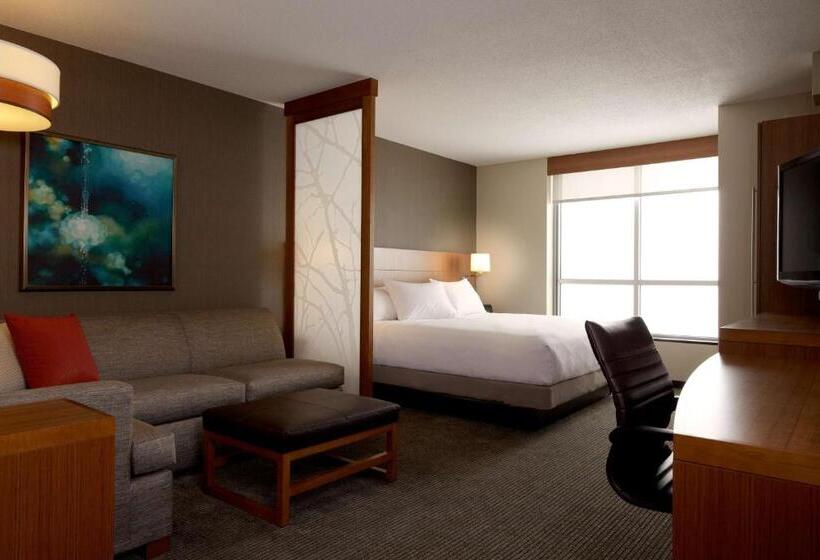 스탠다드 룸 킹사이즈 침대, Hyatt Place Marlborough/apex Center