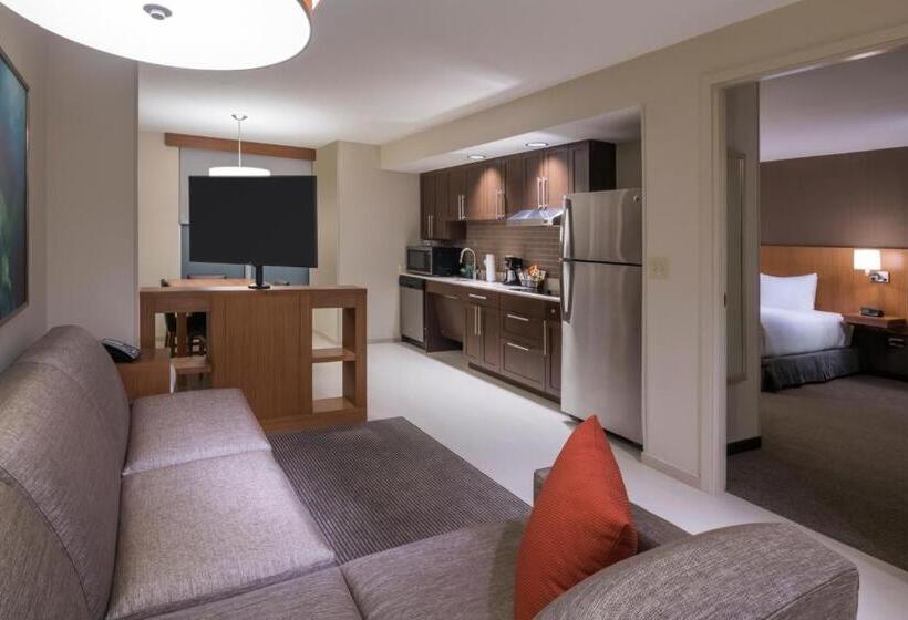 스위트 킹사이즈 침대, Hyatt Place Marlborough/apex Center