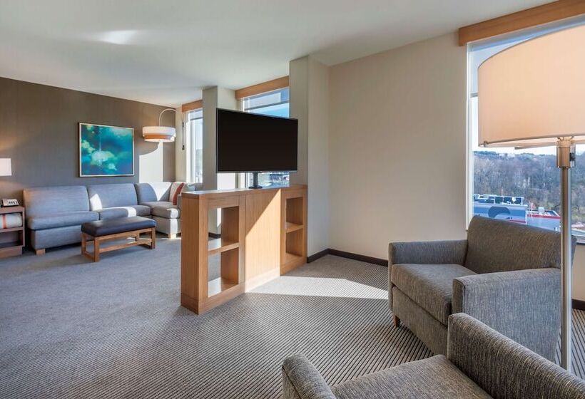 스위트, Hyatt Place Marlborough/apex Center