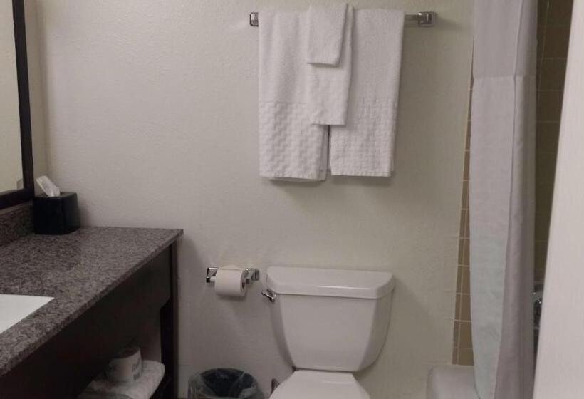 Люкс Кровать Кинг, Best Western Downtown Casper