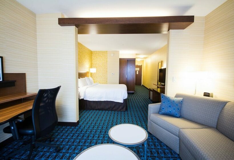 Люкс, Fairfield Inn & Suites By Marriott Denver Northeast/brighton