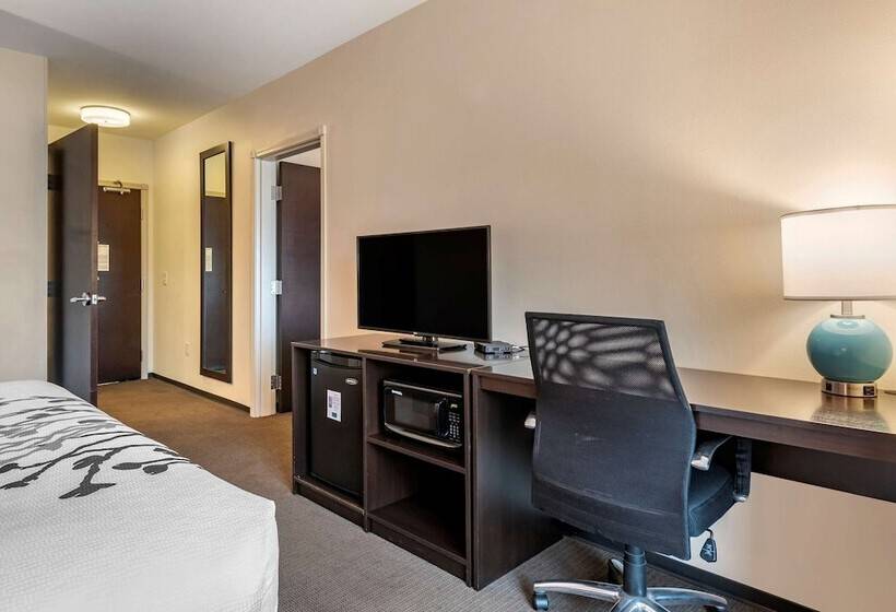 Люкс Адаптированный для Инвалидов, Sleep Inn & Suites Moab Near Arches National Park