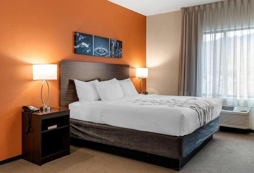 Стандартный Номер Кровать Кинг, Sleep Inn & Suites Moab Near Arches National Park