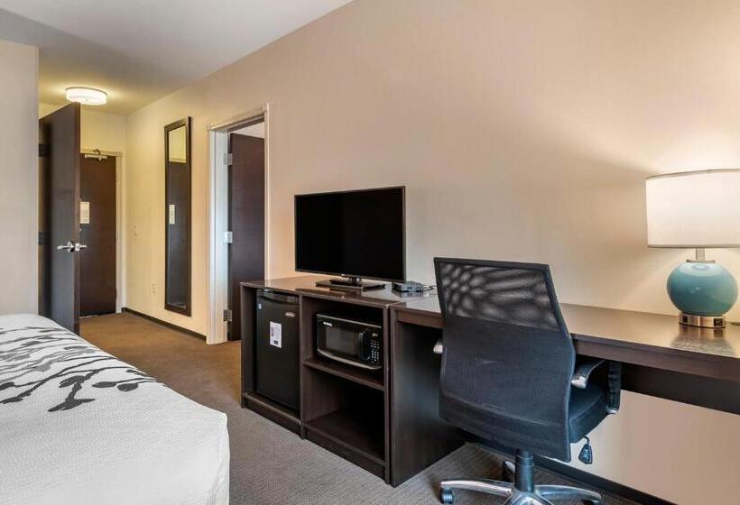 Люкс Адаптированный для Инвалидов, Sleep Inn & Suites Moab Near Arches National Park