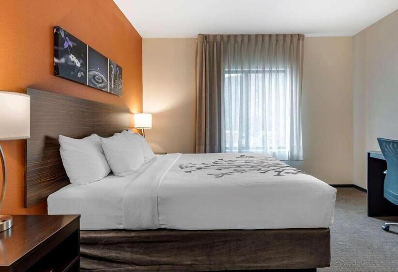 Люкс Адаптированный для Инвалидов, Sleep Inn & Suites Moab Near Arches National Park