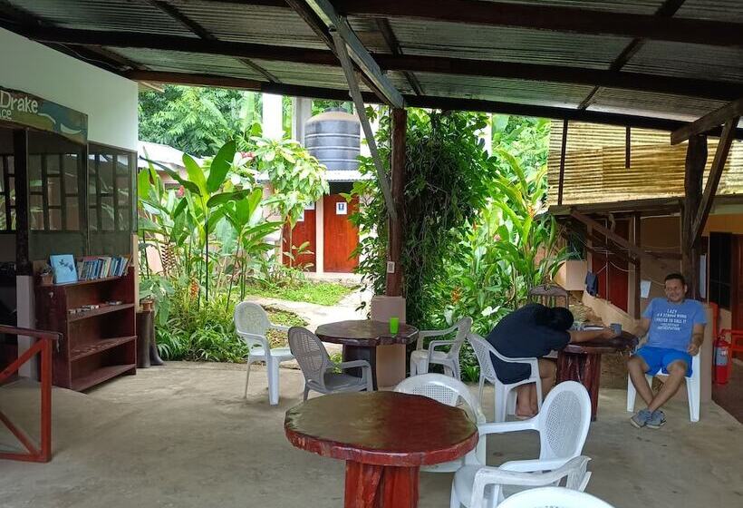 Номер Стандарт, Martinas Place