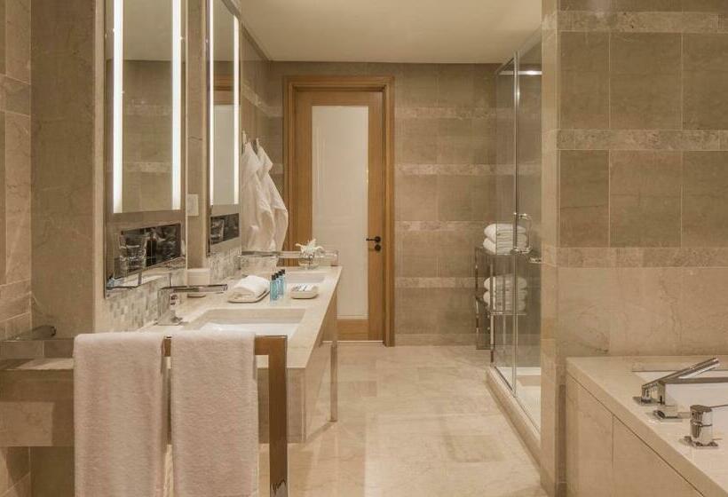 اتاق سوپریور با تخت بزرگ, Four Seasons Hotel Tunis