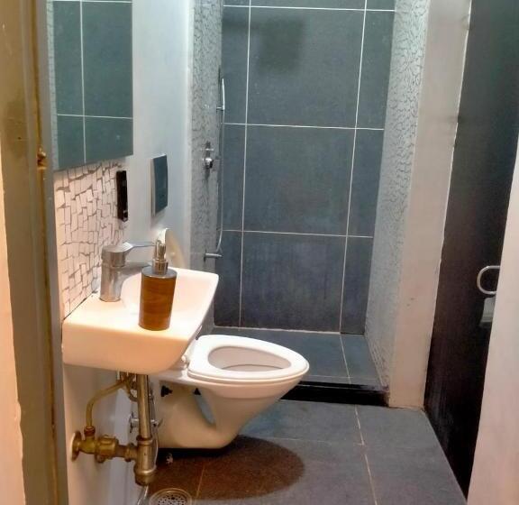 اتاق لوکس, Thc Backpackers Jodhpur
