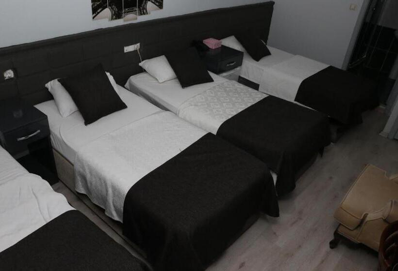 اتاق استاندارد سه تخته با چشم‌انداز باغ, Asus Palmiye Otel