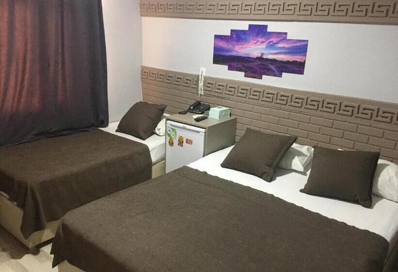 اتاق استاندارد سه تخته با چشم‌انداز باغ, Asus Palmiye Otel