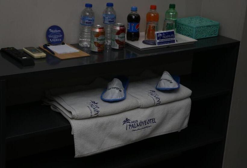 اتاق استاندارد چهارنفره با چشم‌انداز باغ, Asus Palmiye Otel