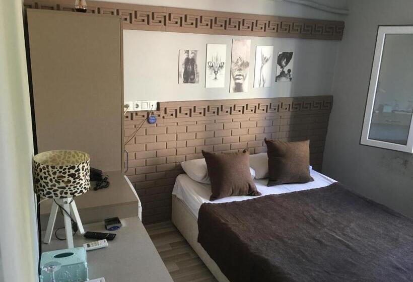 اتاق استاندارد, Asus Palmiye Otel