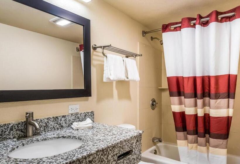 带大床的豪华间, Red Roof Inn Chicago  Alsip