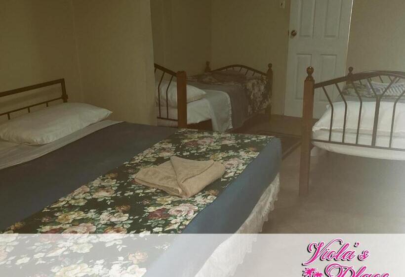 اتاق ساده سه‌ نفره, Viola's Place
