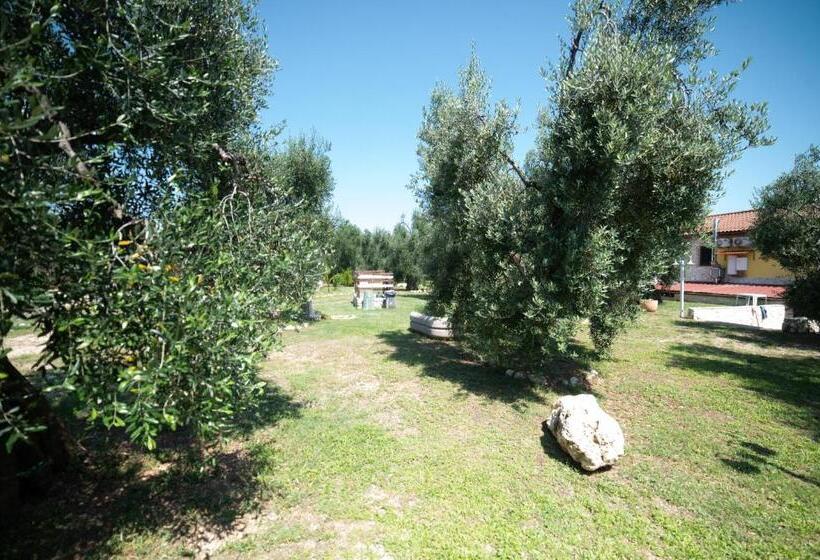 اتاق استاندارد با تخت بزرگ, Coppola Rossa Relax
