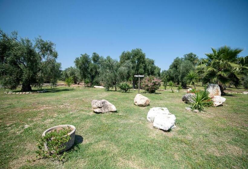 اتاق استاندارد, Coppola Rossa Relax
