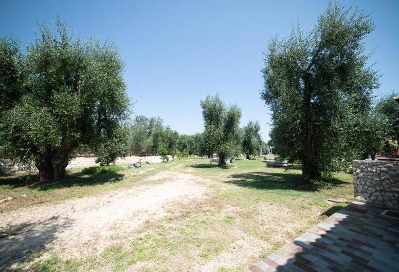 اتاق استاندارد, Coppola Rossa Relax