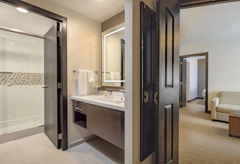 ２ベッドスイートルーム, Staybridge Suites   Irapuato, An Ihg