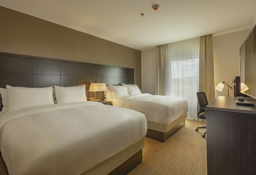 ２ベッドスイートルーム, Staybridge Suites   Irapuato, An Ihg