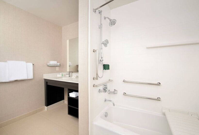 Студия Стандарт, Residence Inn By Marriott Denver Airport/convention Center
