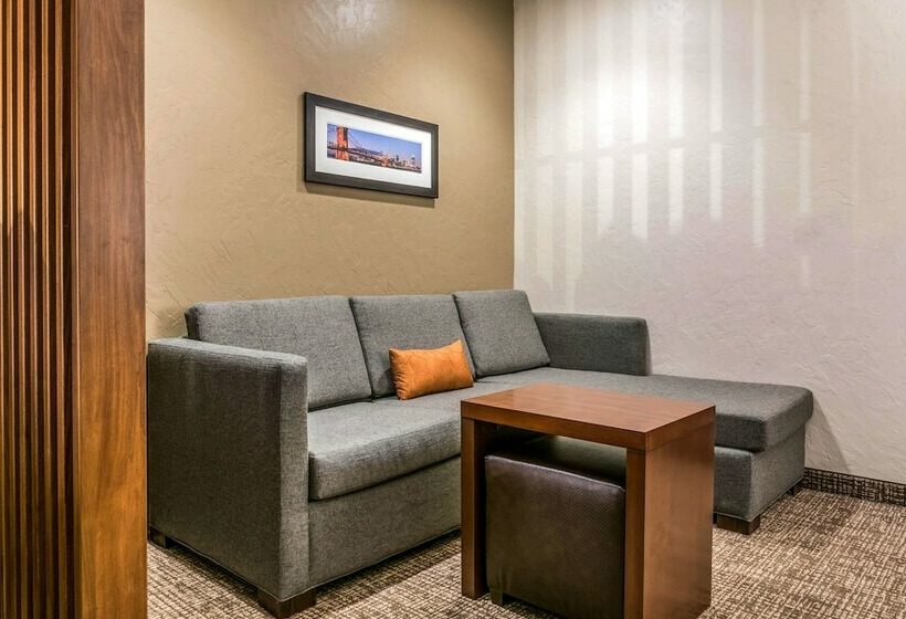 스위트, Comfort Suites Florence  Cincinnati South