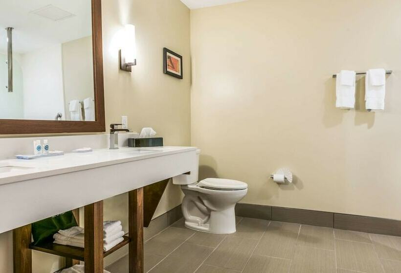 발코니가 있는 스위트, Comfort Suites Florence  Cincinnati South