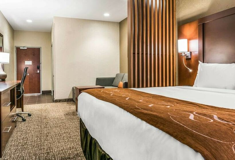 스위트, Comfort Suites Florence  Cincinnati South