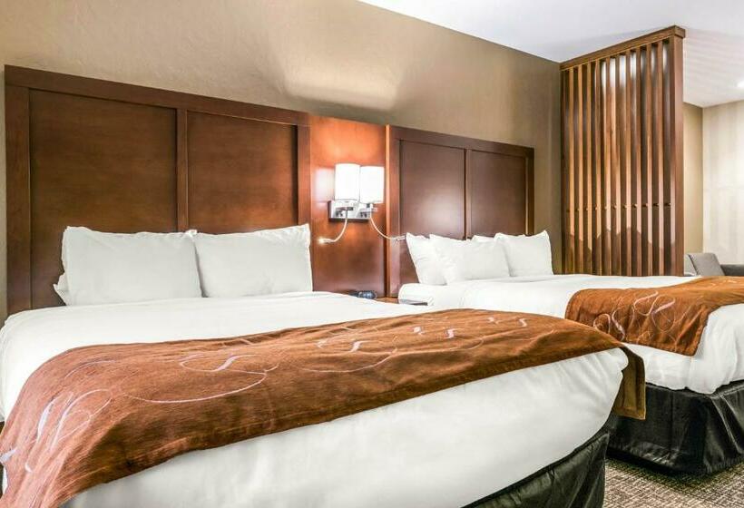 스위트, Comfort Suites Florence  Cincinnati South