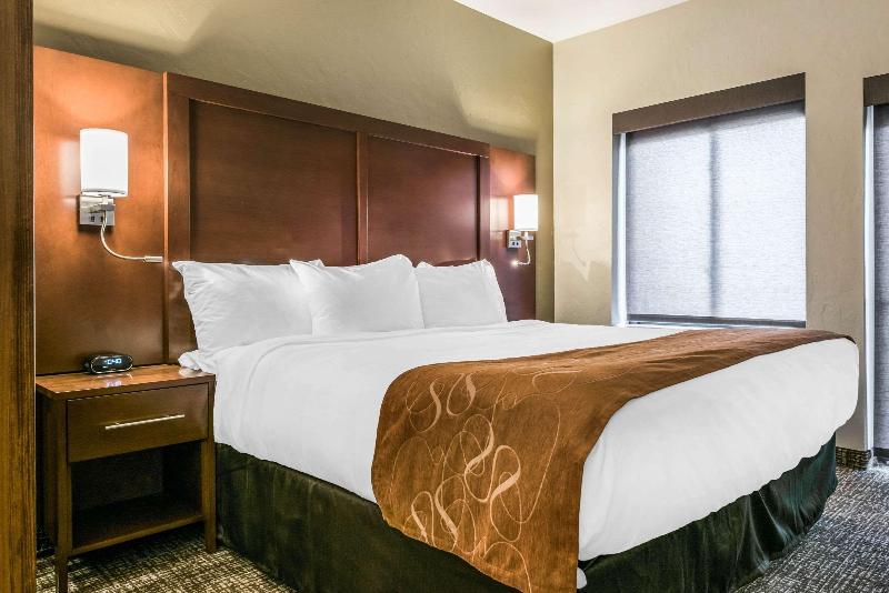 스위트, Comfort Suites Florence  Cincinnati South