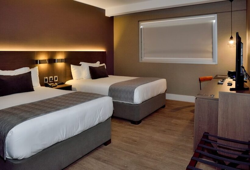 Номер Стандарт, Radisson  Curico