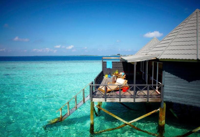 ویلای 1 خوابه, Komandoo Island Resort & Spa