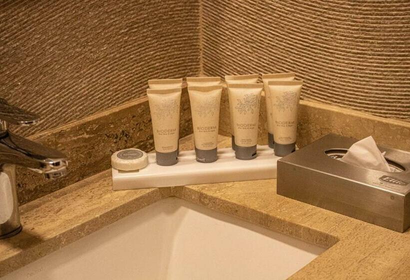 Номер Стандарт, Radisson  Curico