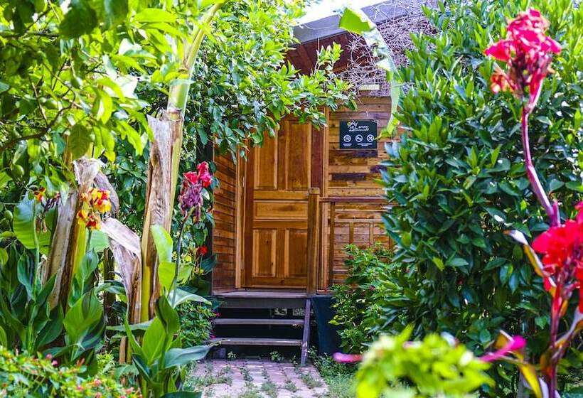 Бунгало Стандарт, Lemon Garden Lodge