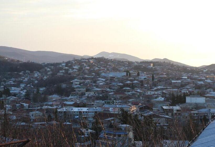 اتاق خانوادگی, Mimino Guest House