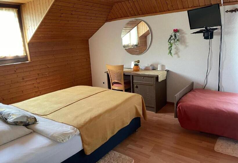 Номер Стандарт, Hôtel La Fontaine