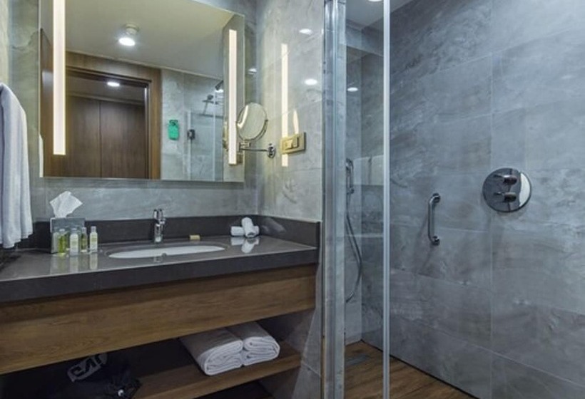اتاق استاندارد, Hilton Garden Inn Yalova