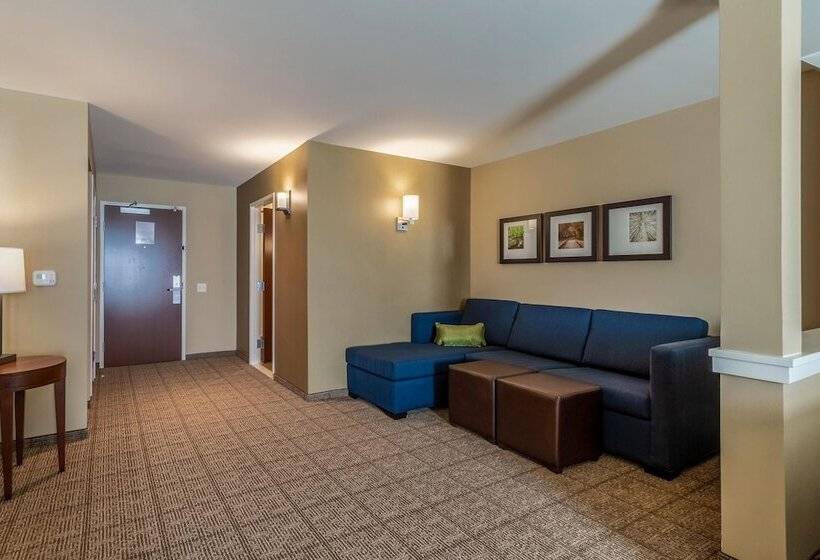 套房, Comfort Inn & Suites – Harrisburg Airport – Hershey South