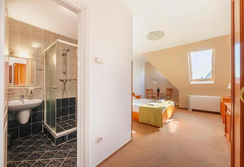 Номер Стандарт, Baross City Hotel   Budapest