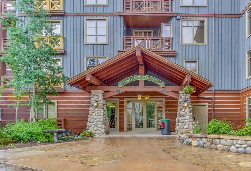 آپارتمان 1 خوابه, Tucker Mountain Lodge 321