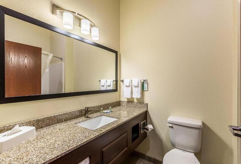 デラックススタジオ, Cobblestone Hotel & Suites Hartford