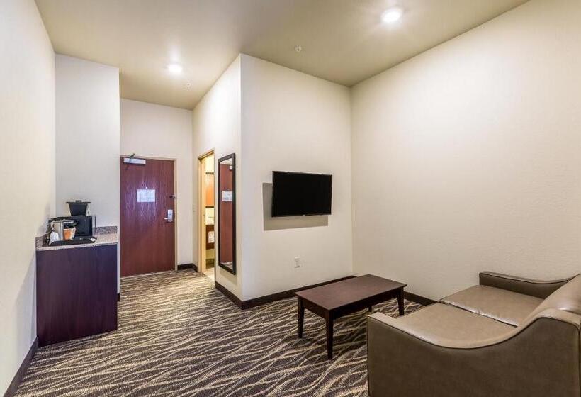 디럭스 스튜디오, Cobblestone Hotel & Suites Hartford