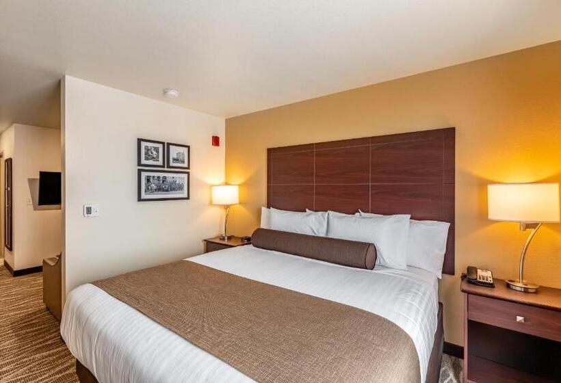 デラックススタジオ, Cobblestone Hotel & Suites Hartford
